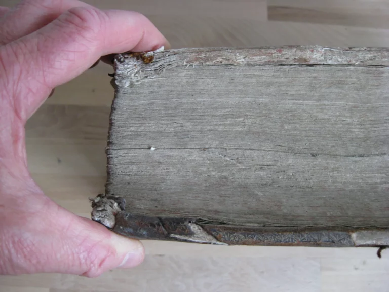 Opera in très tomos distributa. R.P. Pauli Layman