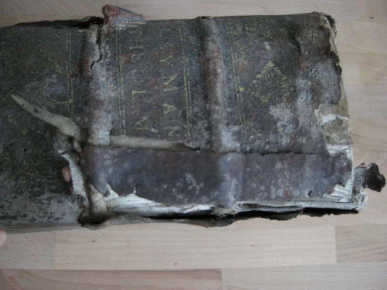 Opera in très tomos distributa. R.P. Pauli Layman