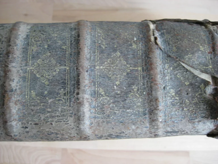 Opera in très tomos distributa. R.P. Pauli Layman