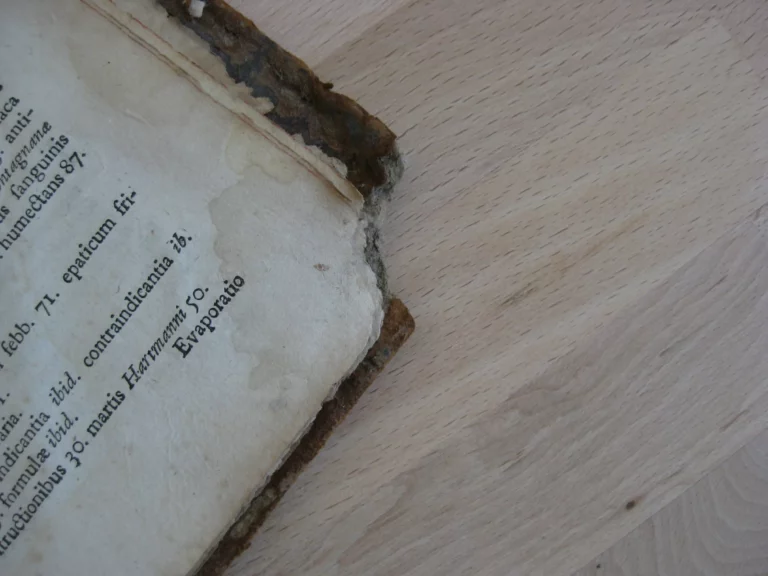 Opera medica universa - Lazari Riverii