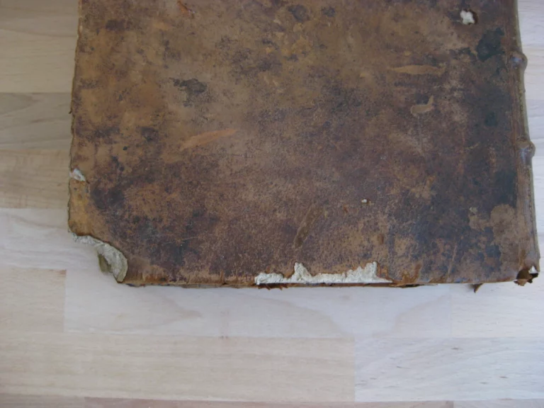 Opera medica universa - Lazari Riverii