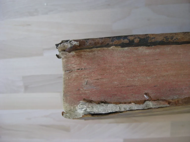 Opera medica universa - Lazari Riverii