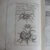 Opera omnia. Medico pratica et anatomica.