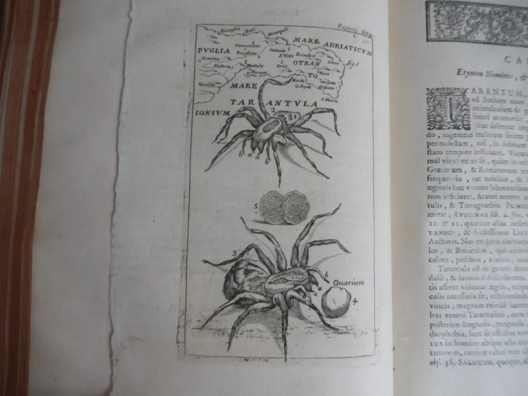 Opera omnia. Medico pratica et anatomica.