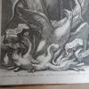 Opera omnia. Medico pratica et anatomica.