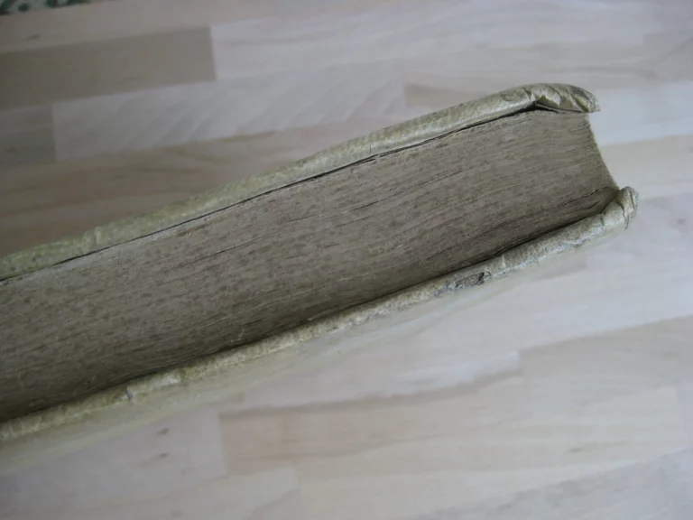 Prodomus ad opera omnia S. Bonaventurae