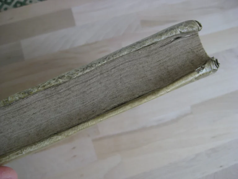 Prodomus ad opera omnia S. Bonaventurae