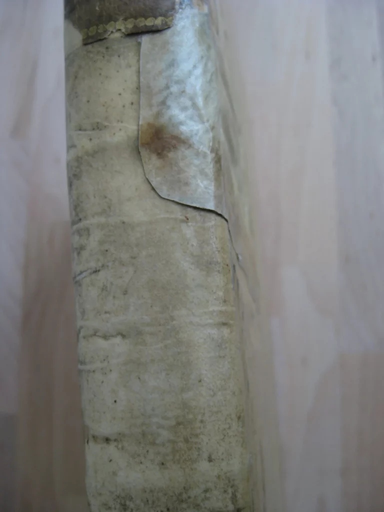 Prodomus ad opera omnia S. Bonaventurae