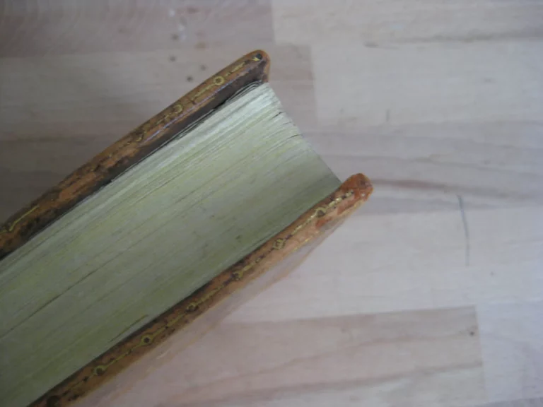 Sainte Bible contenant l’Ancien et le Nouveau testament - Tome second