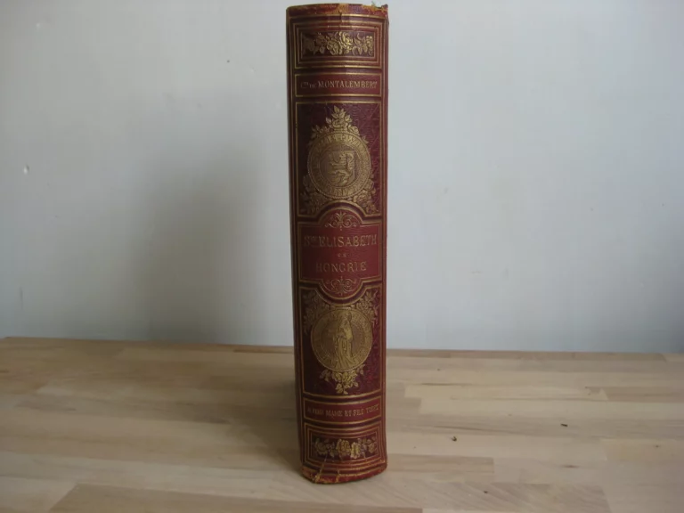 Sainte Elisabeth de Hongrie - Le Comte de Montalembert