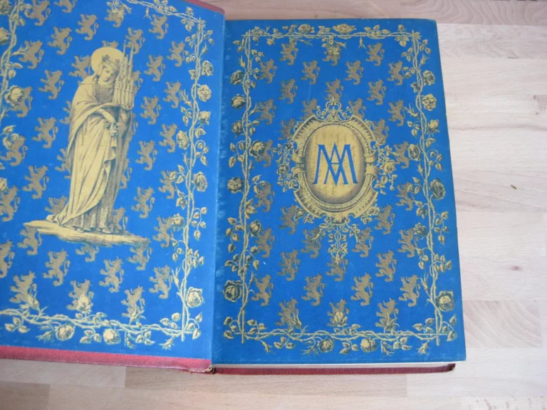 Sainte Elisabeth de Hongrie - Le Comte de Montalembert