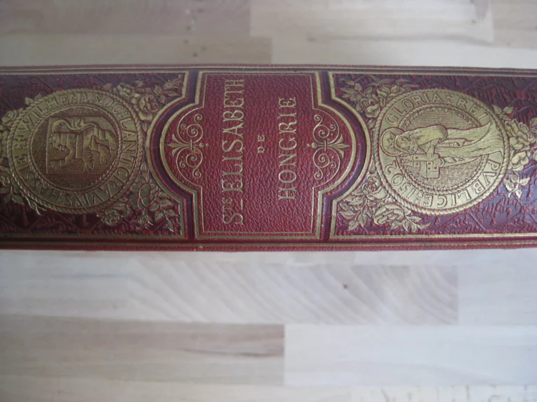 Sainte Elisabeth de Hongrie - Le Comte de Montalembert