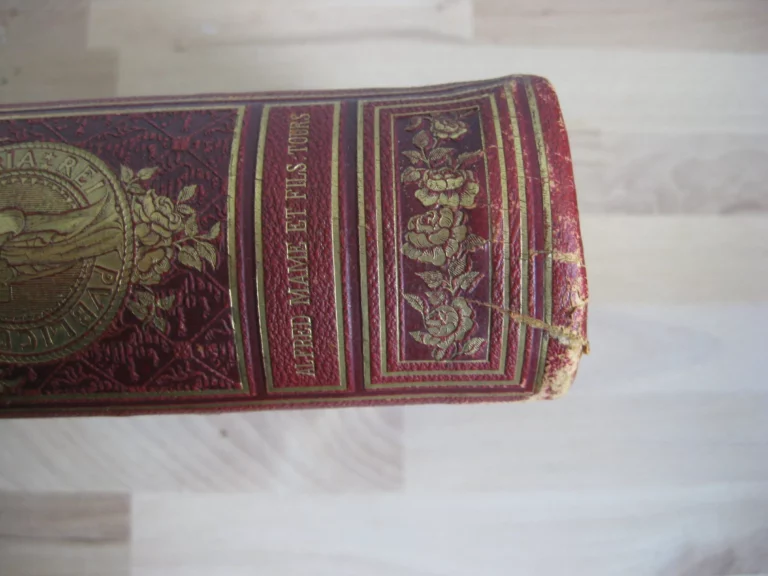 Sainte Elisabeth de Hongrie - Le Comte de Montalembert