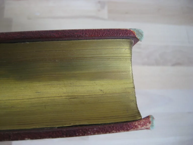 Sainte Elisabeth de Hongrie - Le Comte de Montalembert