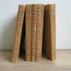 Toutes les œuvres en patois du chansonnier Desrousseaux en cinq volumes.