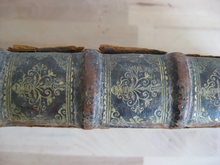 Tribonianus belgicus sive dissertationes ... Édition originale Tribonianus belgicus sive dissertationes ... Édition originale