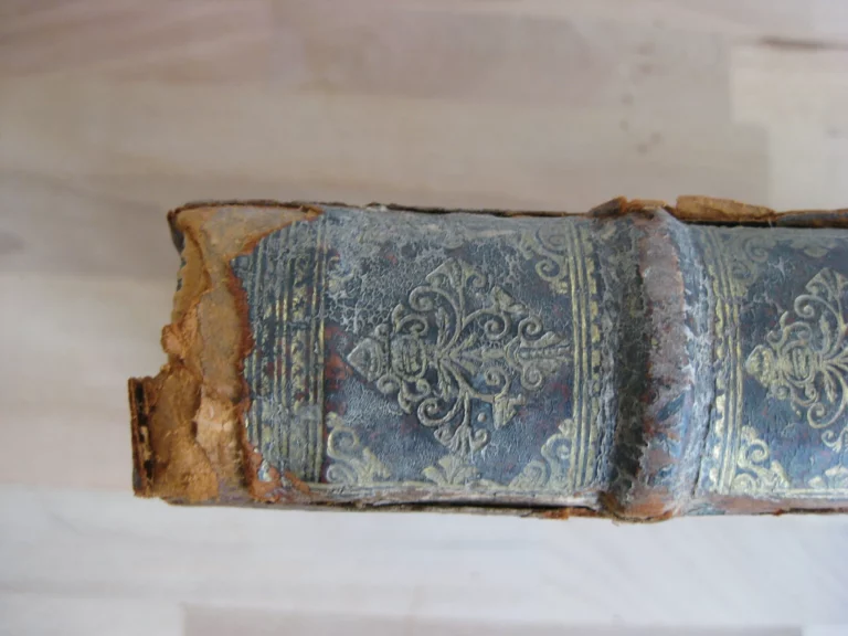 Tribonianus belgicus sive dissertationes ... Édition originale Tribonianus belgicus sive dissertationes ... Édition originale