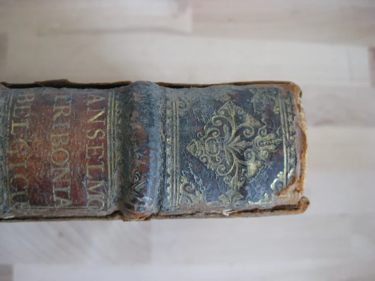 Tribonianus belgicus sive dissertationes ... Édition originale Tribonianus belgicus sive dissertationes ... Édition originale