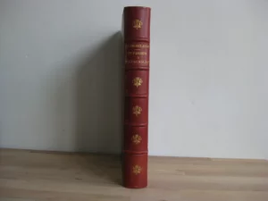 Un Parisien à Madagascar. Aventures et impressions de voyage.