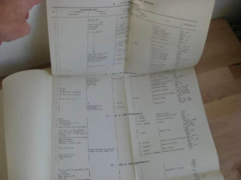 Une guerre sociale interurbaine dans la Flandre Wallonne au XIIIème siècle. Douai et Lille, 1284-1285