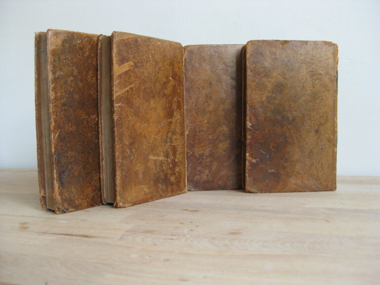 Les Jeunes Voyageurs en France