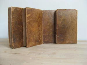 Les Jeunes Voyageurs en France