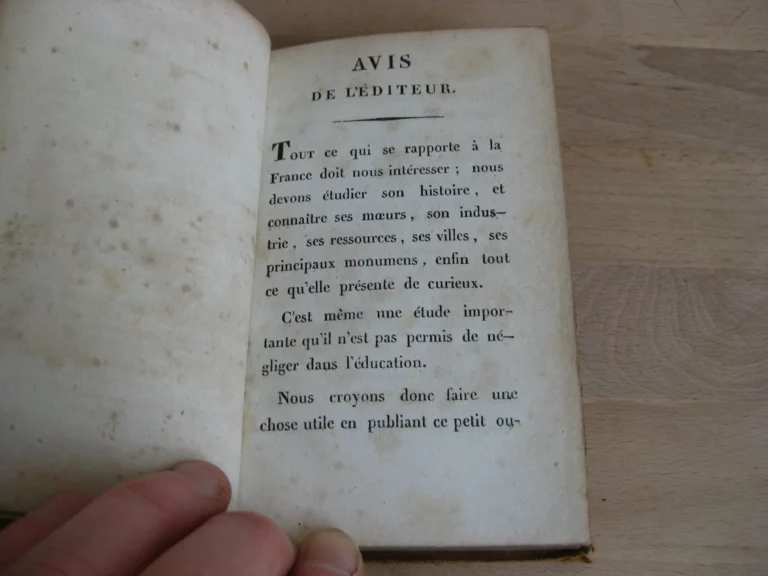 Les Jeunes Voyageurs en France