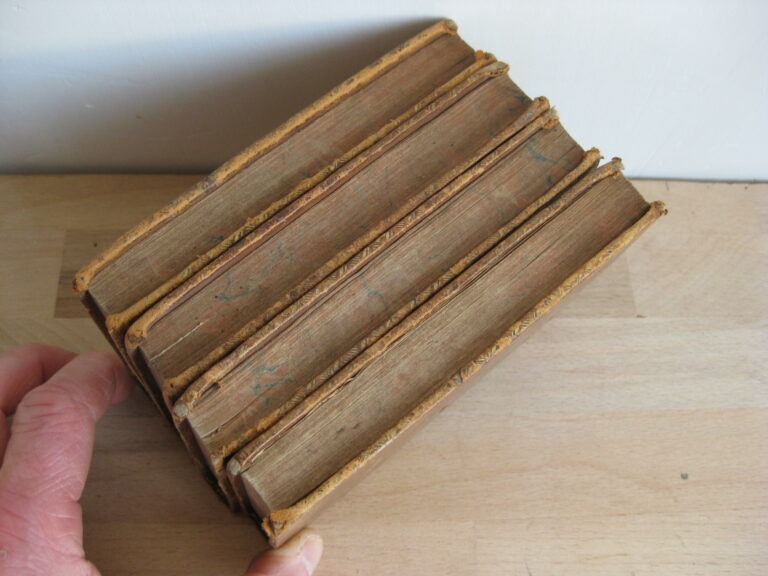 Les Jeunes Voyageurs en France