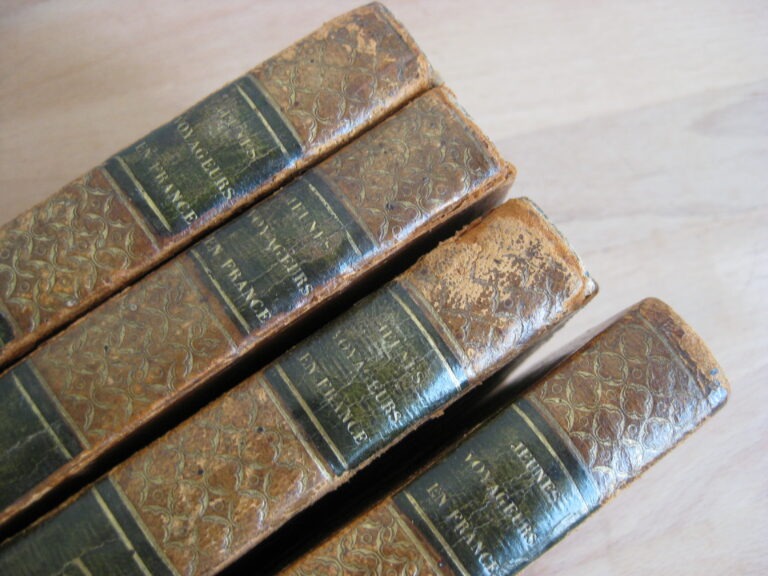 Les Jeunes Voyageurs en France