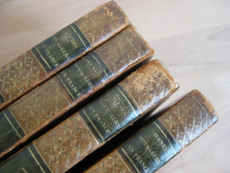 Les Jeunes Voyageurs en France