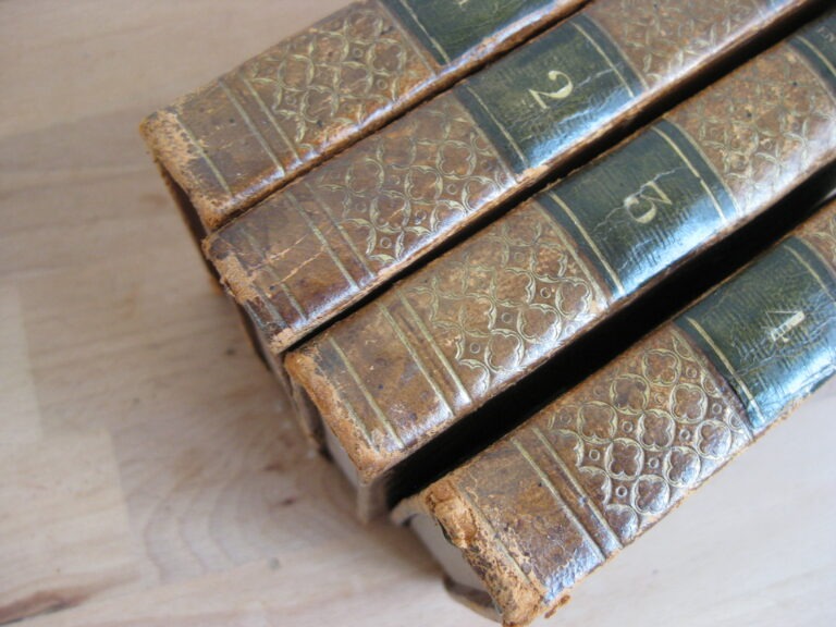 Les Jeunes Voyageurs en France