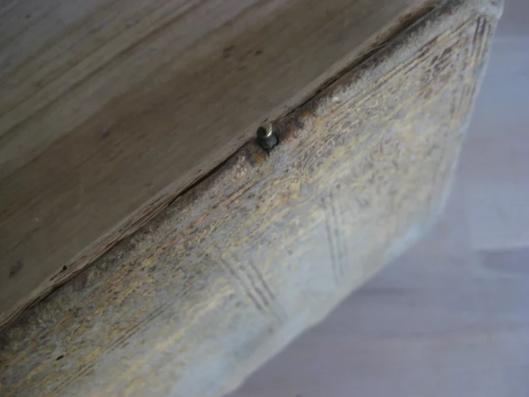 Abundantissimum cornu copiae linguae Latinae Abundantissimum cornu copiae linguae Latinae