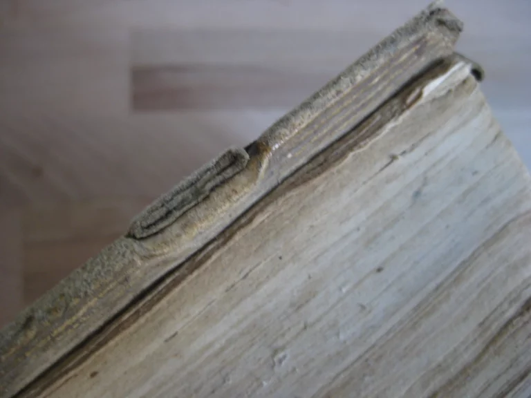 Abundantissimum cornu copiae linguae Latinae Abundantissimum cornu copiae linguae Latinae