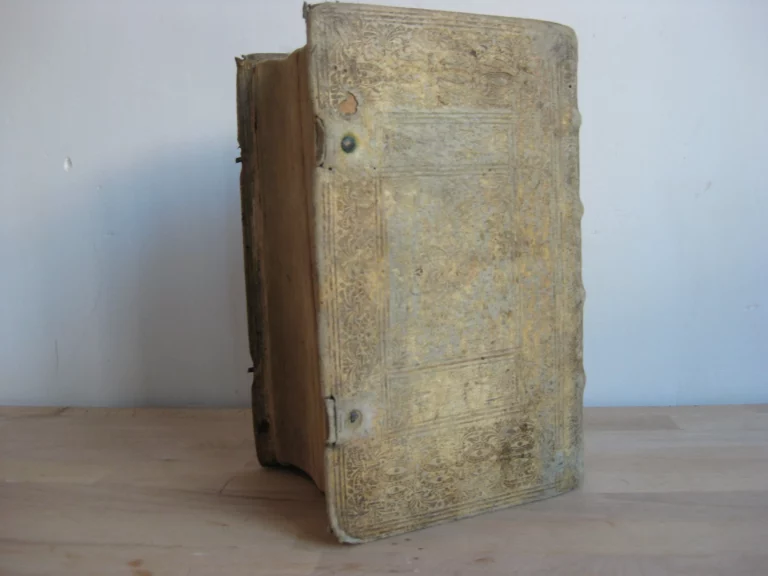 Abundantissimum cornu copiae linguae Latinae Abundantissimum cornu copiae linguae Latinae