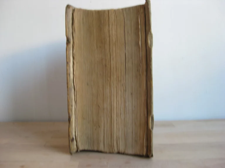 Abundantissimum cornu copiae linguae Latinae Abundantissimum cornu copiae linguae Latinae