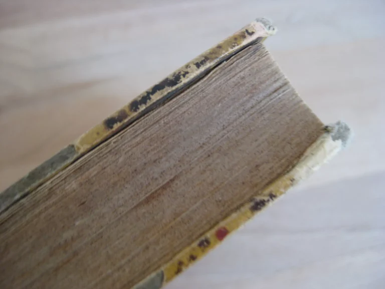 Antiquités de Noyon.