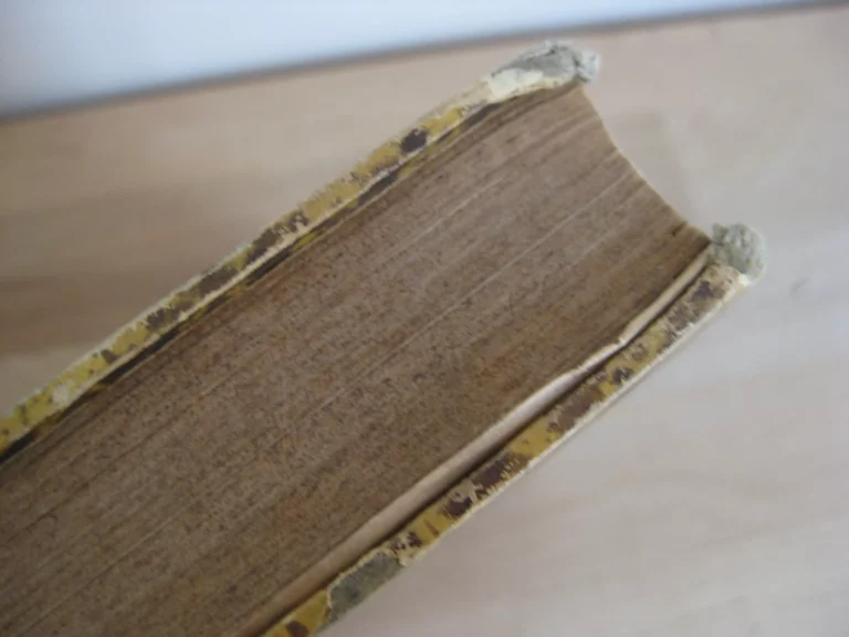 Antiquités de Noyon.