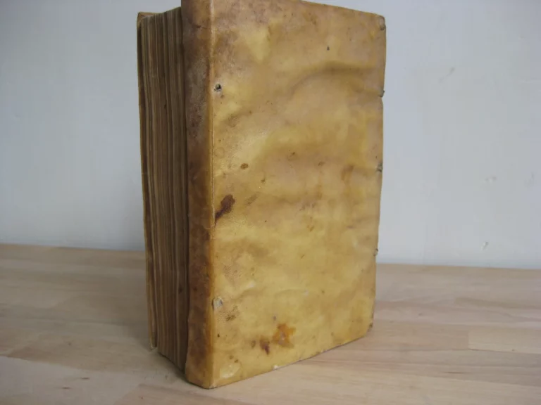 Auli Persi Flacci Satirarum liber