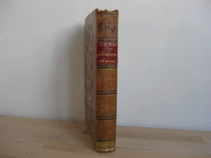 Antiquités de Noyon.