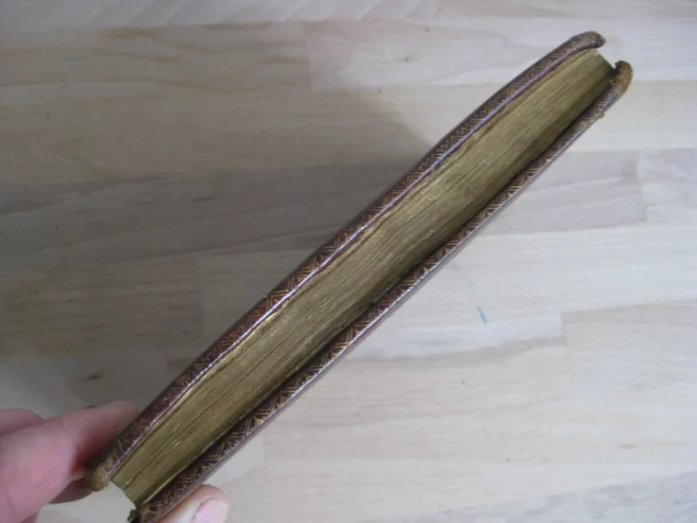 De identitae cathedrae in qua sanctus petrus roma. Édition originale