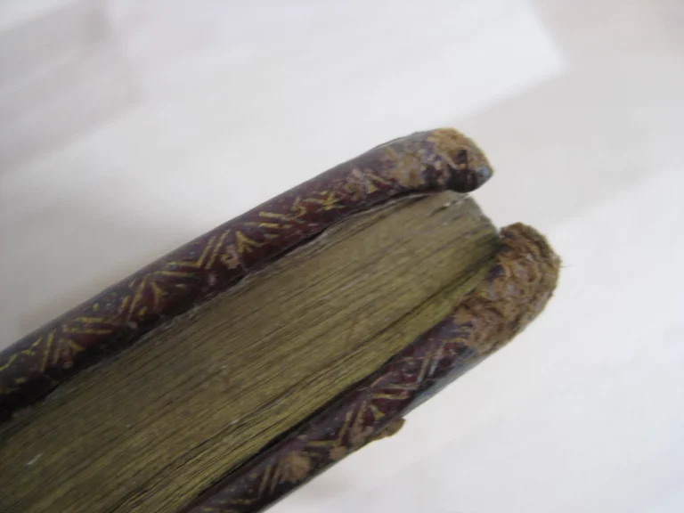 De identitae cathedrae in qua sanctus petrus roma. Édition originale