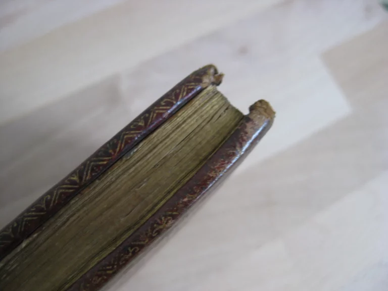 De identitae cathedrae in qua sanctus petrus roma. Édition originale