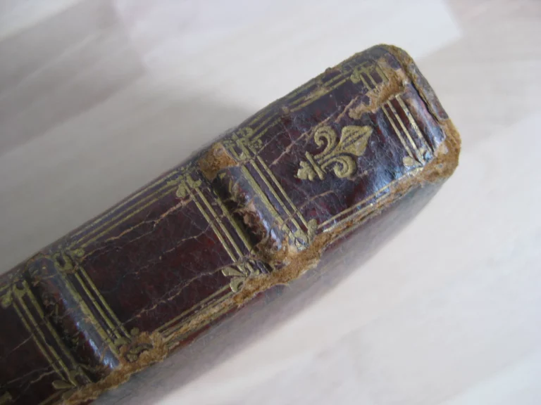 De identitae cathedrae in qua sanctus petrus roma. Édition originale