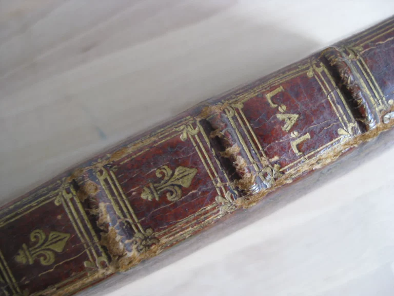 De identitae cathedrae in qua sanctus petrus roma. Édition originale