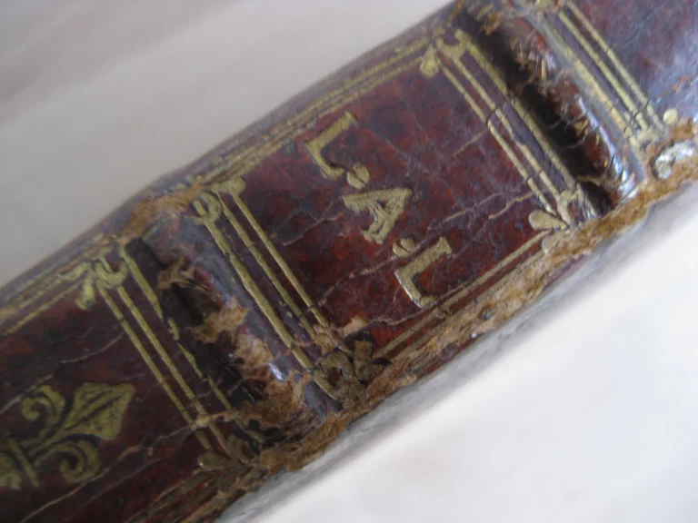 De identitae cathedrae in qua sanctus petrus roma. Édition originale