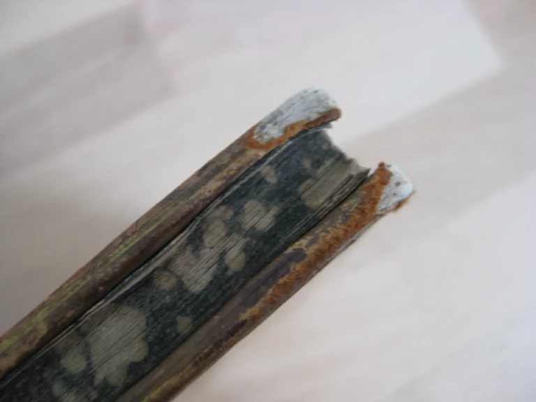 Discours sur la vanité des biens et des avantages du monde