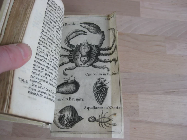 Gammarologia sive Gammarorum, vulgo cancrorum. Édition originale