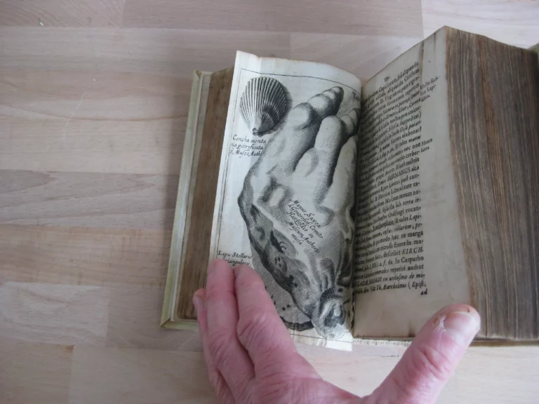 Gammarologia sive Gammarorum, vulgo cancrorum. Édition originale