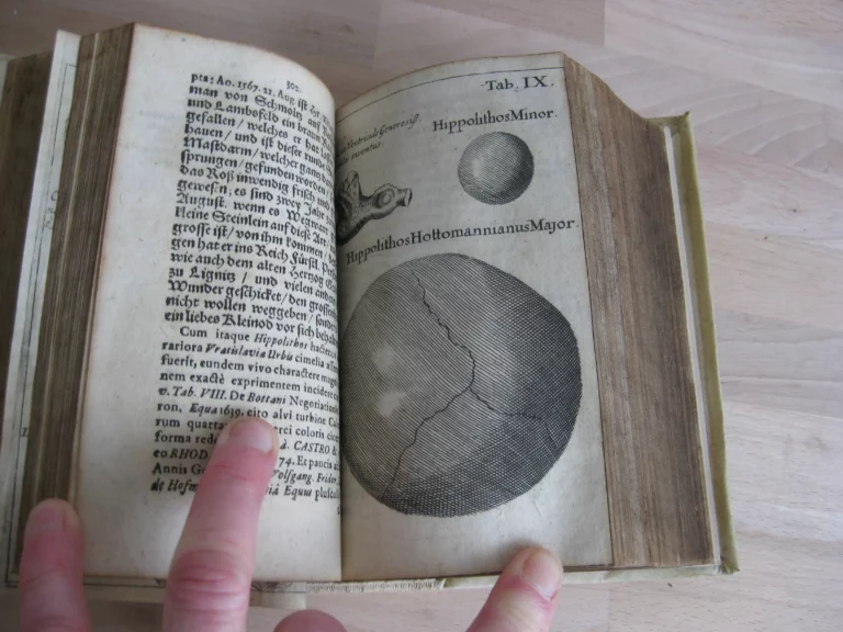 Gammarologia sive Gammarorum, vulgo cancrorum. Édition originale