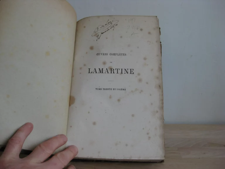 Histoire de la Russie